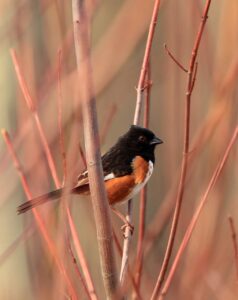 ワキ脱毛を利用する学生必見の学割情報は？