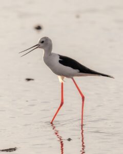 部活中の生理に悩む女子が脱毛を考えるべき理由は？