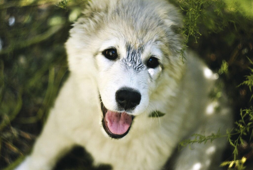 脱毛サロンの夏に関する口コミはどこで見つけられる？