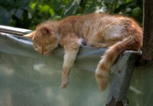 脱毛の効果は何回目から実感できますか？