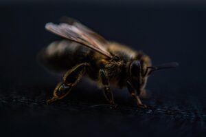 脱毛に行くならおすすめのサロンはどこ？
